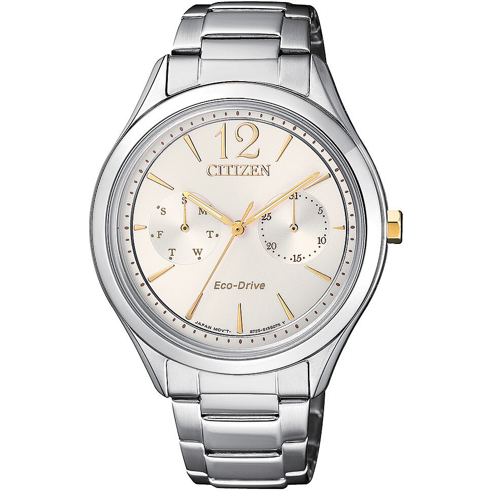 Citizen Lady