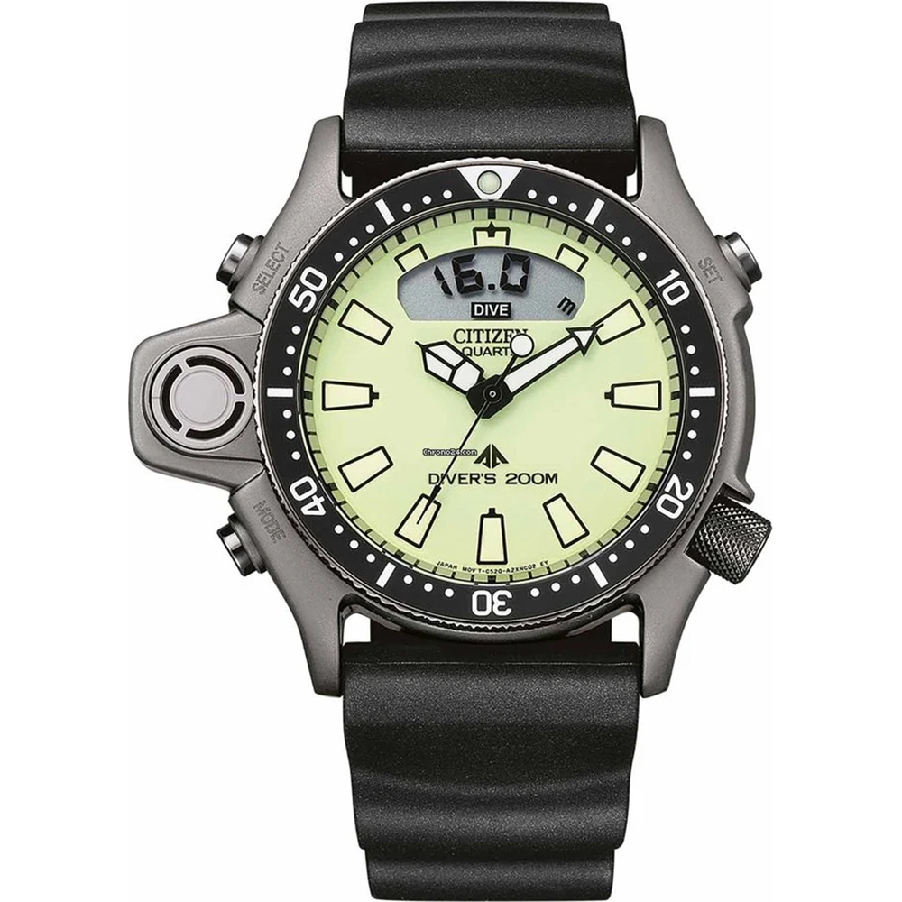 Citizen Aqualand Promaster Diver's