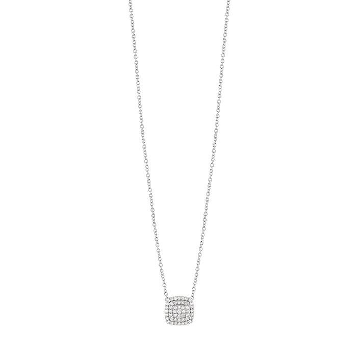Collana Salvini